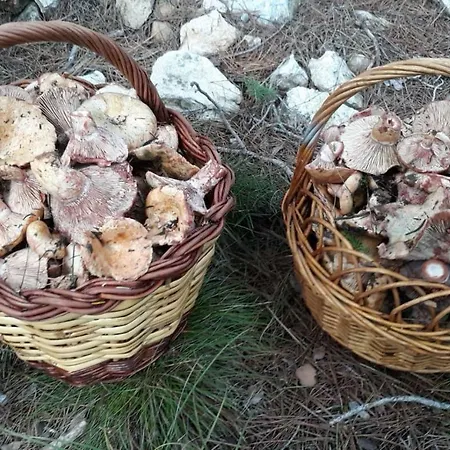 Ca L'esquelleta * Vilaverd