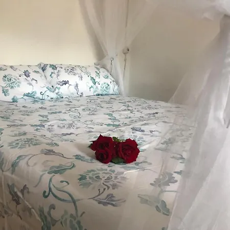 Ca L'esquelleta By El Secret De La Conca בית נופש *